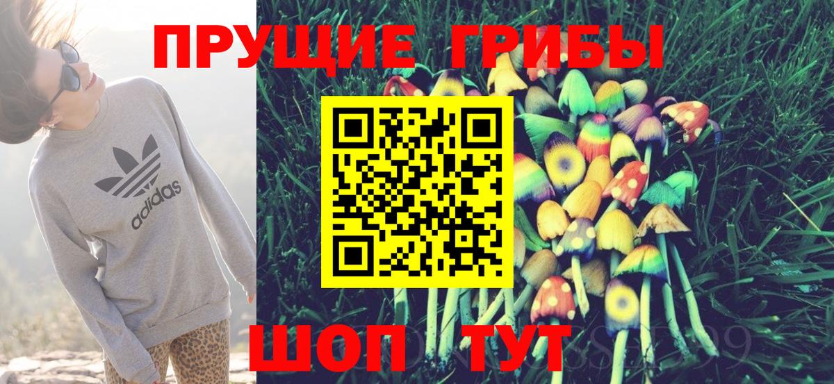 Псилоцибиновые грибы Cubensis  Галлюциногенные грибы ЛСД  Вход с VPN  Красноперекопск 
